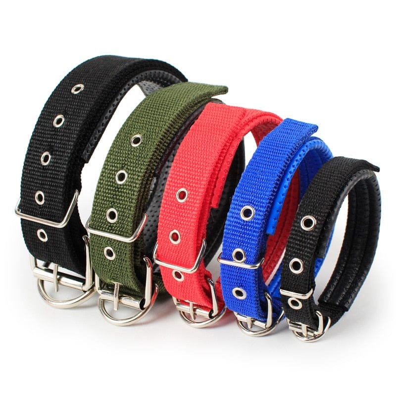 The Dogz Pawz Adjustable Nylon Dog Collar