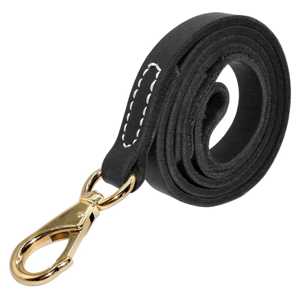 The Dogz Pawz Black / M PU Leather Dog Leash