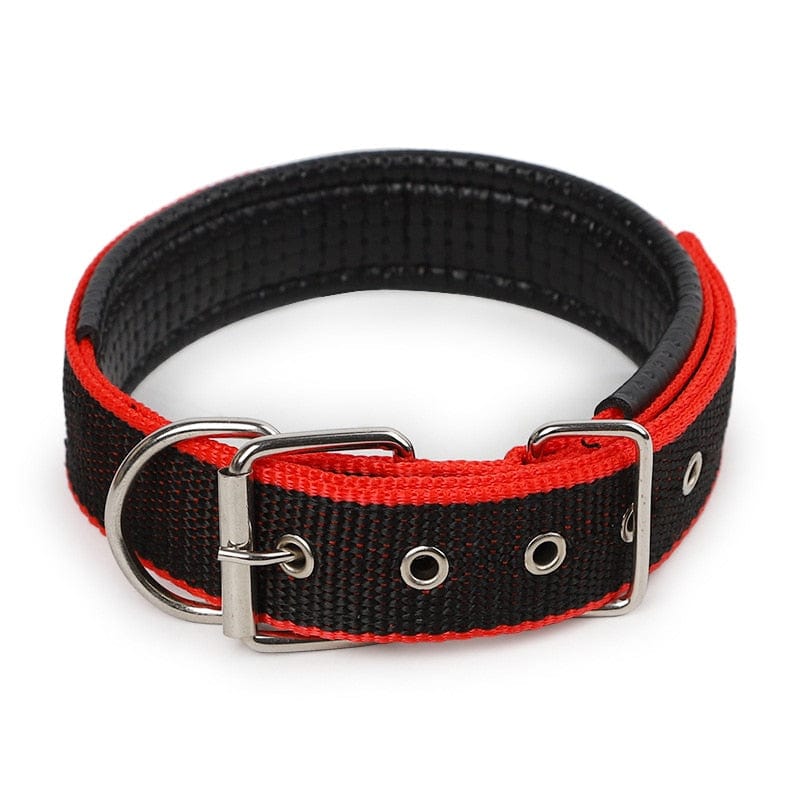 The Dogz Pawz Black Red Edge / XS Adjustable Nylon Dog Collar