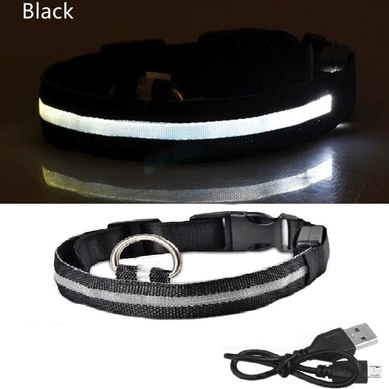 The Dogz Pawz Black / XS 28-38cm LED Night Collar with USB Charger