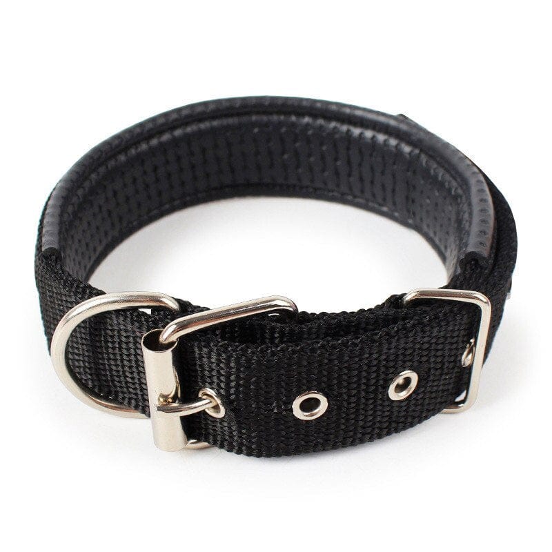 The Dogz Pawz Black / XS Adjustable Nylon Dog Collar