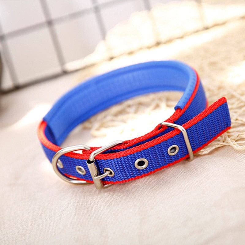 The Dogz Pawz Blue Red Edge / XS Adjustable Nylon Dog Collar