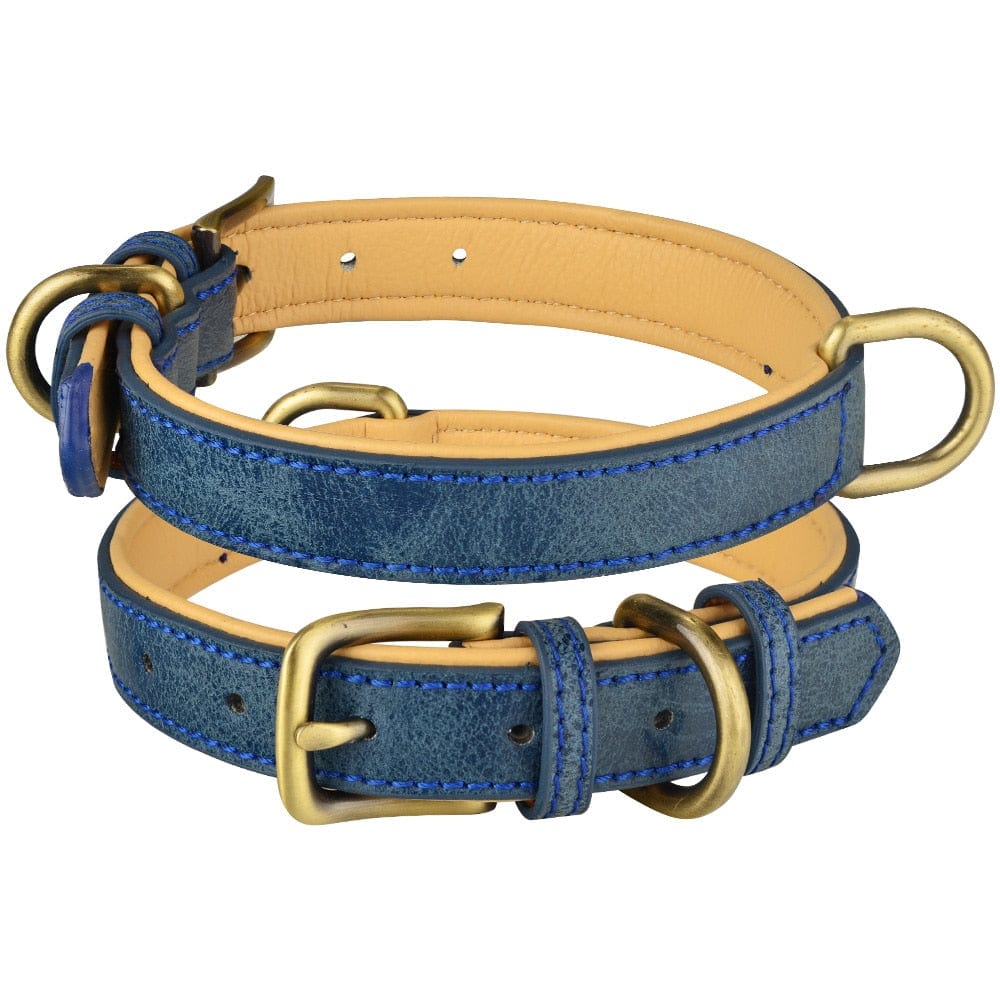 The Dogz Pawz Blue / XS 22-28CM Leather Dog Collar