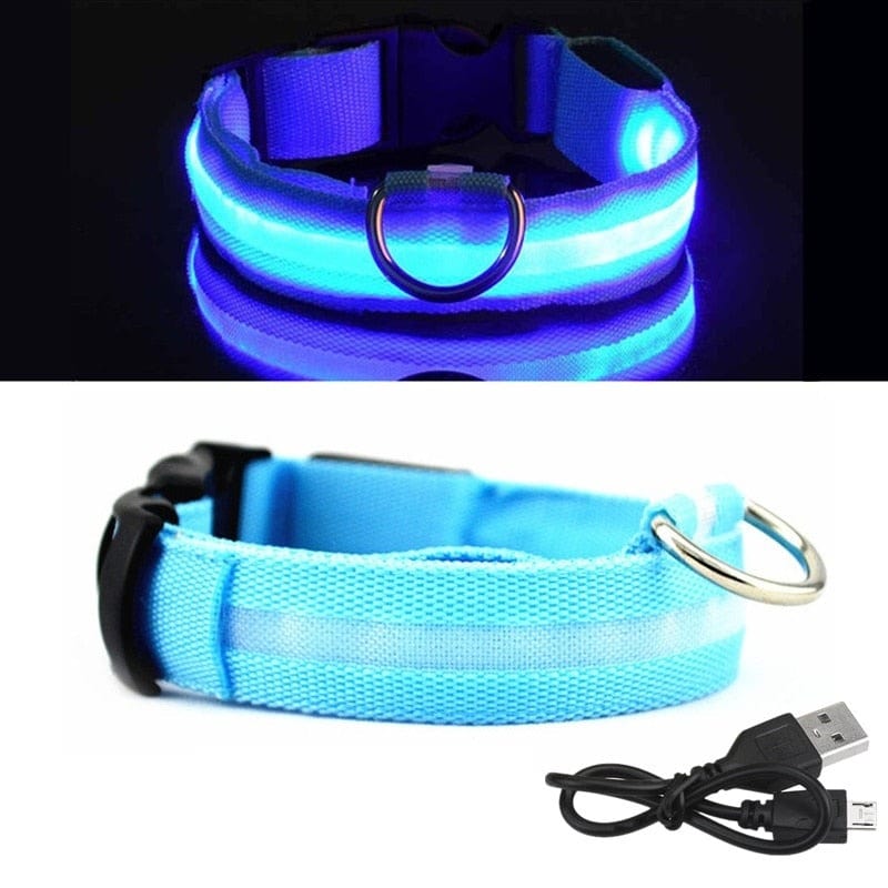 The Dogz Pawz Blue / XS 28-38cm LED Night Collar with USB Charger