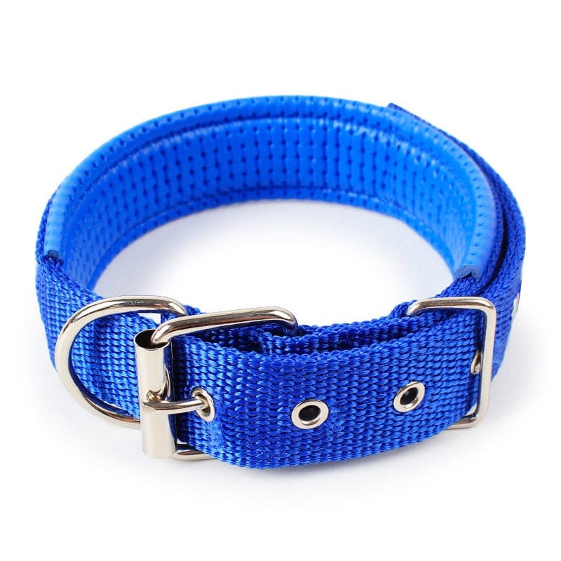 The Dogz Pawz Blue / XS Adjustable Nylon Dog Collar