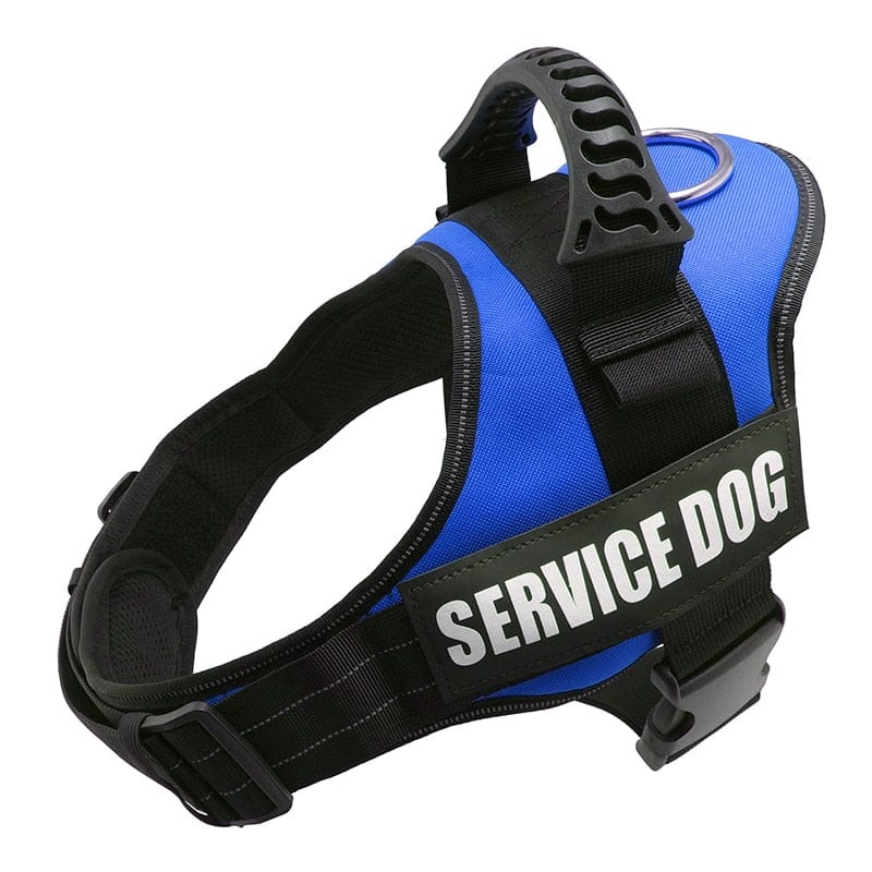 The Dogz Pawz Blue / XS Personalised Dog Harness