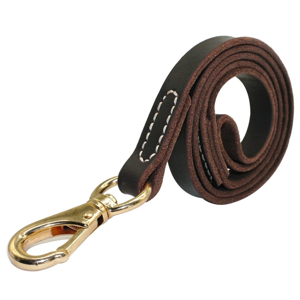 The Dogz Pawz Brown / M PU Leather Dog Leash