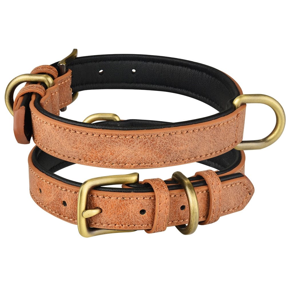 The Dogz Pawz Brown / XS 22-28CM Leather Dog Collar