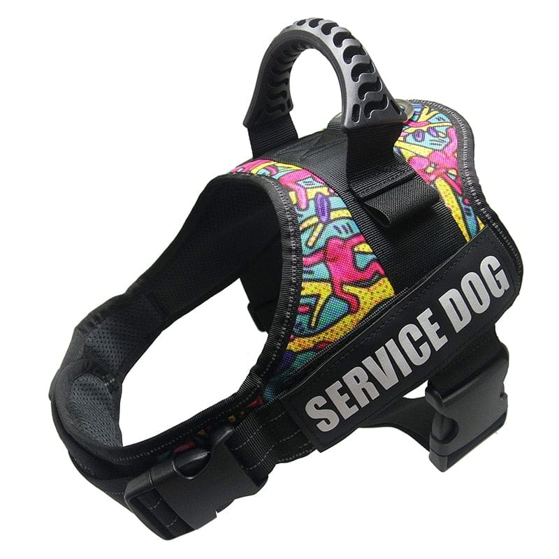 The Dogz Pawz Color Doodle / XS Personalised Dog Harness