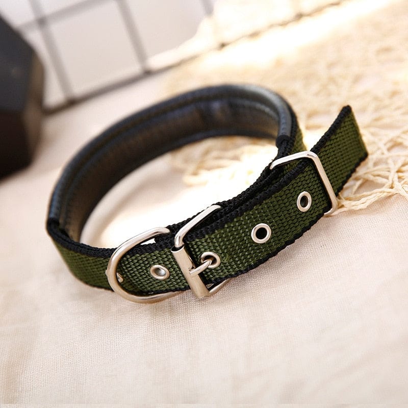 The Dogz Pawz Green Black Edge / XS Adjustable Nylon Dog Collar