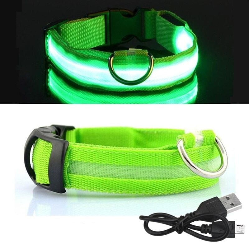 The Dogz Pawz Green / XS 28-38cm LED Night Collar with USB Charger