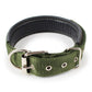 The Dogz Pawz Green / XS Adjustable Nylon Dog Collar