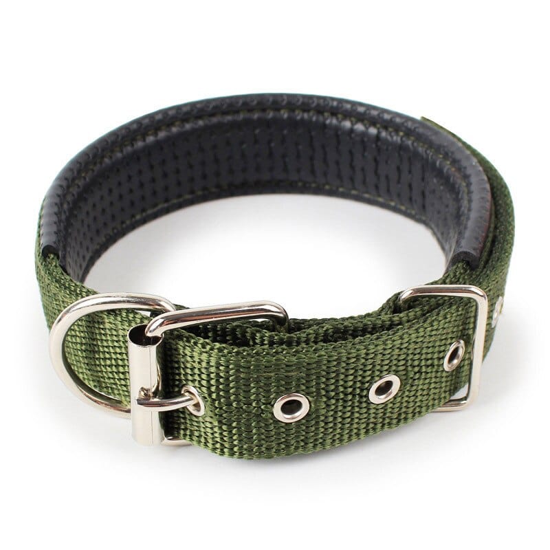 The Dogz Pawz Green / XS Adjustable Nylon Dog Collar