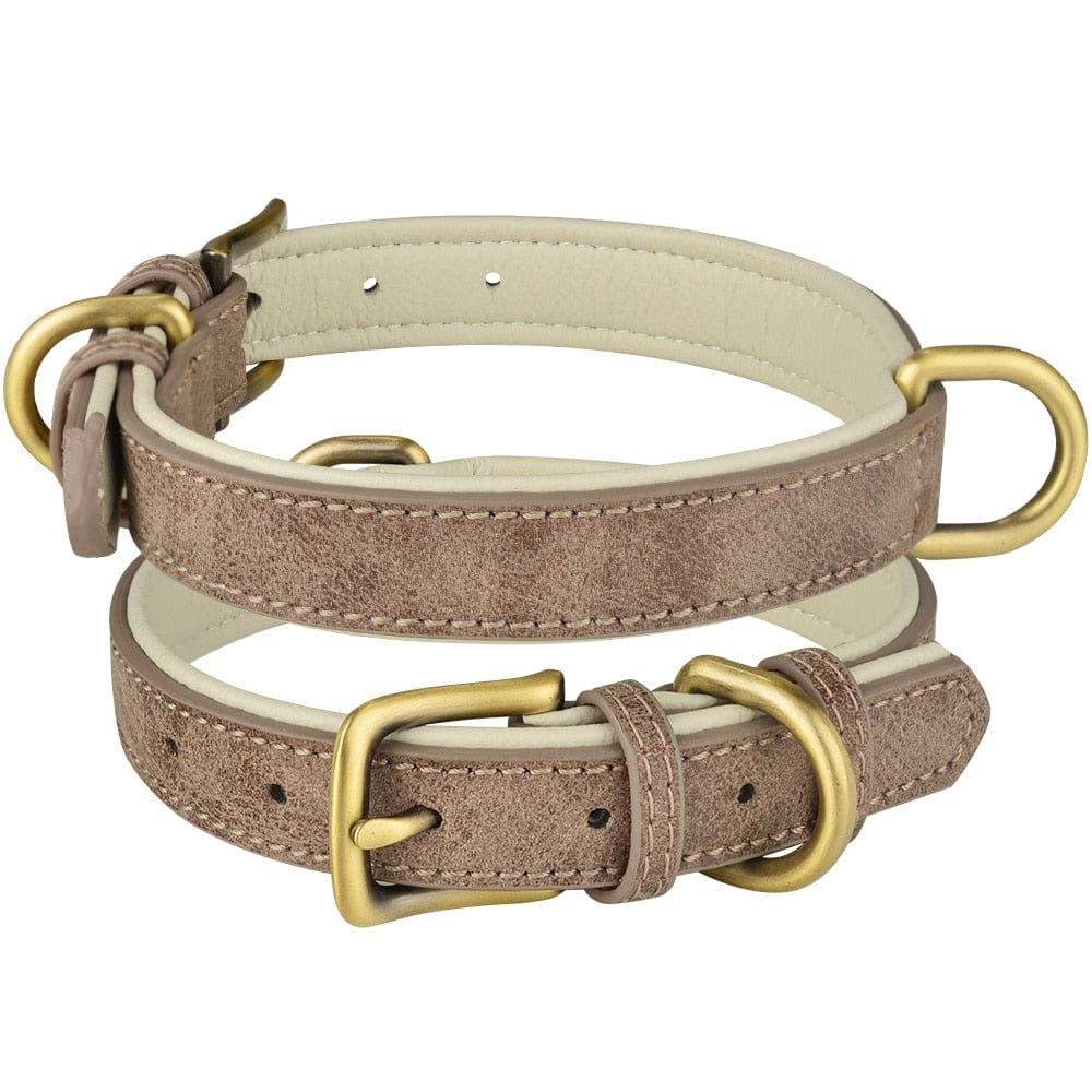 The Dogz Pawz Grey / XS 22-28CM Leather Dog Collar