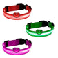 The Dogz Pawz LED Night Collar with USB Charger