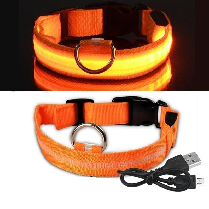 The Dogz Pawz Orange / XS 28-38cm LED Night Collar with USB Charger