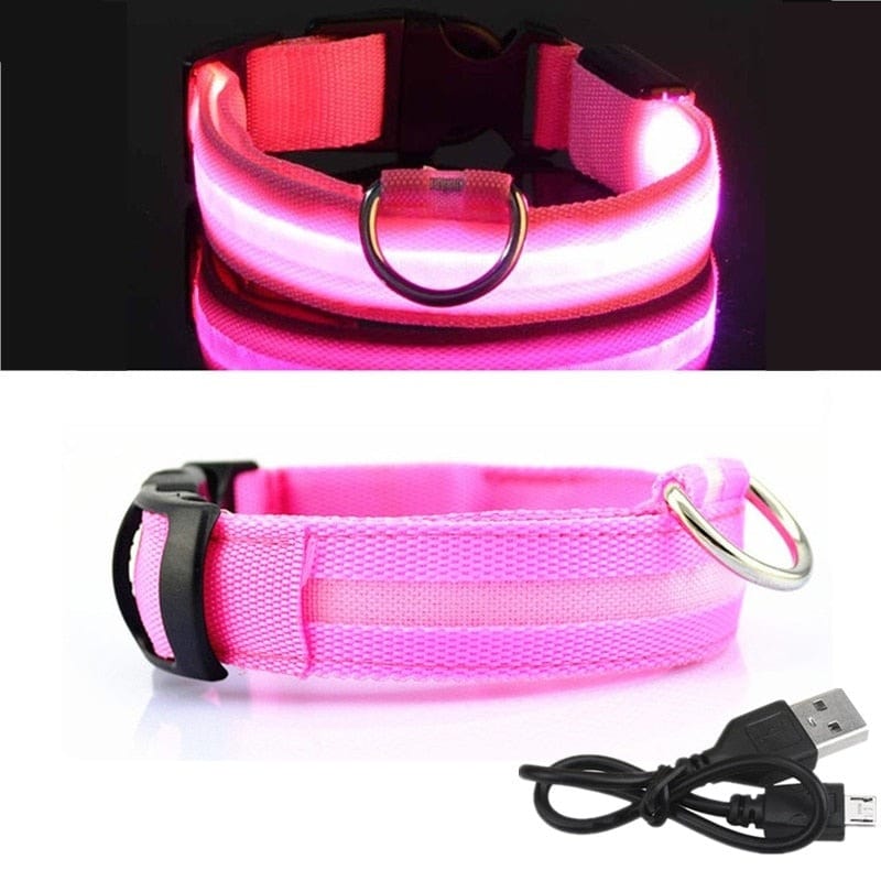 The Dogz Pawz Pink / XS 28-38cm LED Night Collar with USB Charger