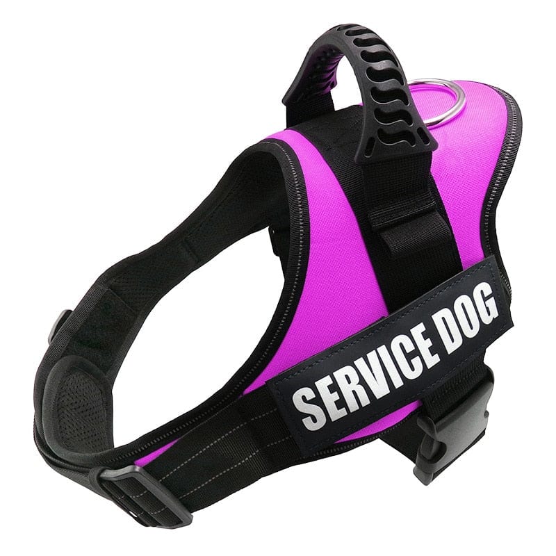 The Dogz Pawz Pink / XS Personalised Dog Harness