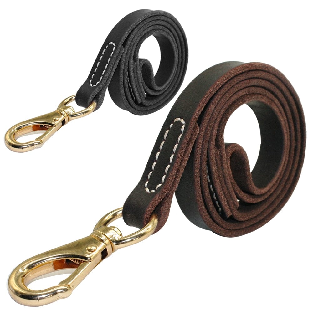 The Dogz Pawz PU Leather Dog Leash