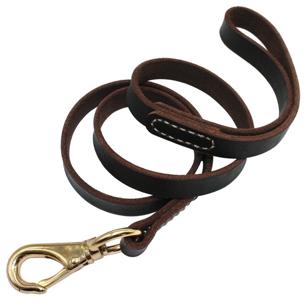 The Dogz Pawz PU Leather Dog Leash