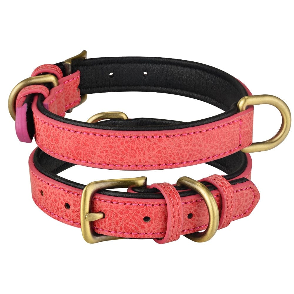 The Dogz Pawz Red / XS 22-28CM Leather Dog Collar