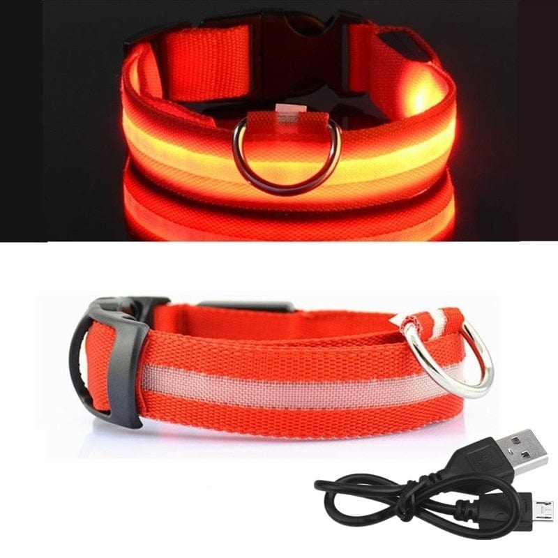 The Dogz Pawz Red / XS 28-38cm LED Night Collar with USB Charger