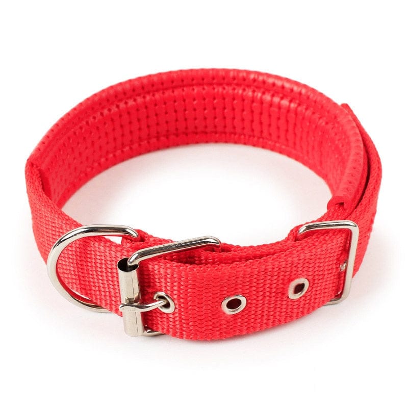 The Dogz Pawz Red / XS Adjustable Nylon Dog Collar