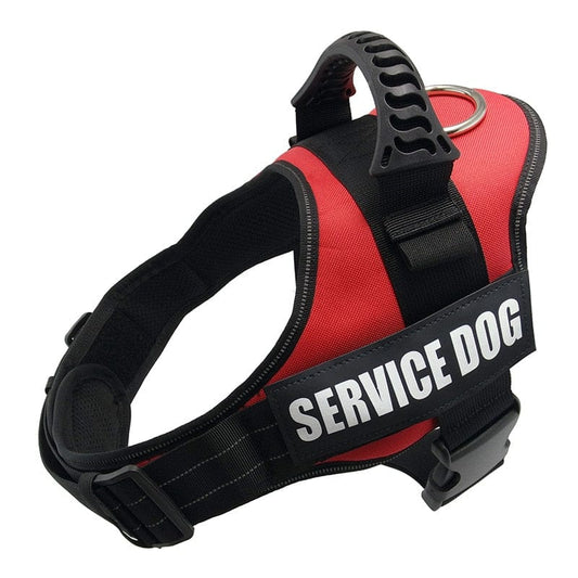 The Dogz Pawz Red / XS Personalised Dog Harness