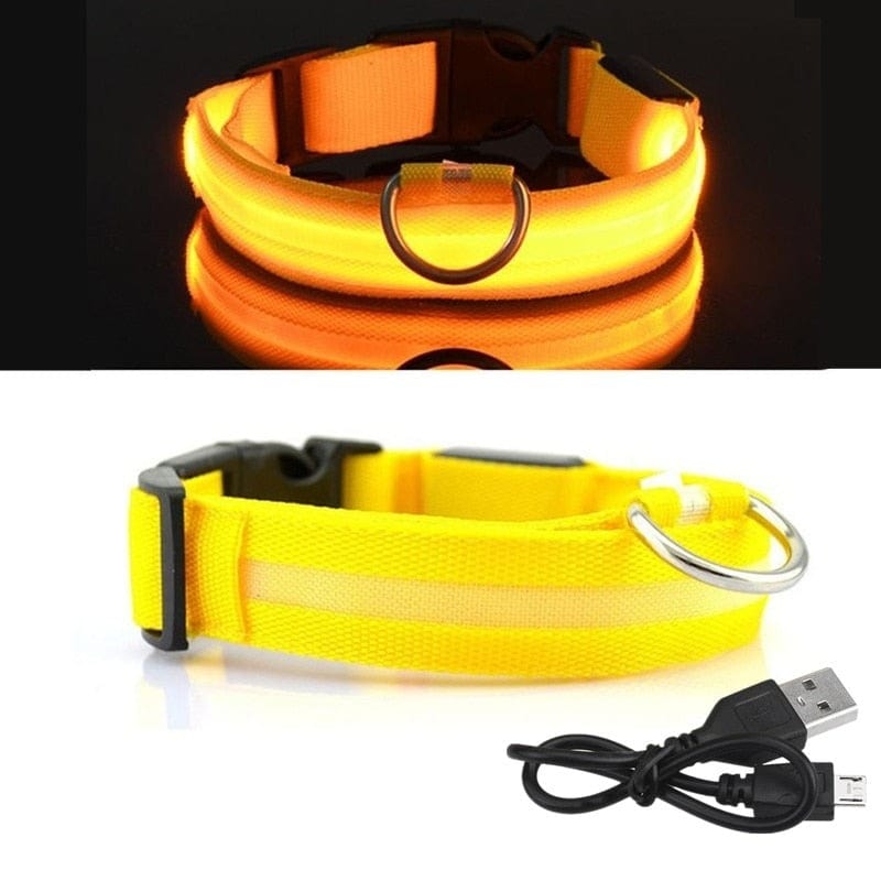 The Dogz Pawz Yellow / XS 28-38cm LED Night Collar with USB Charger